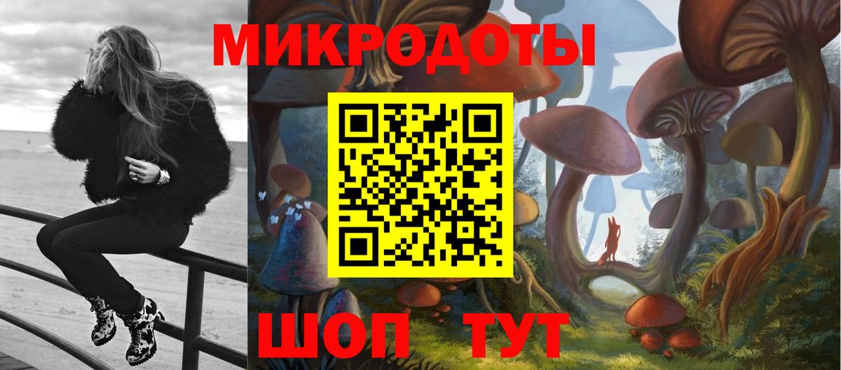 Псилоцибиновые грибы прущие грибы Обь